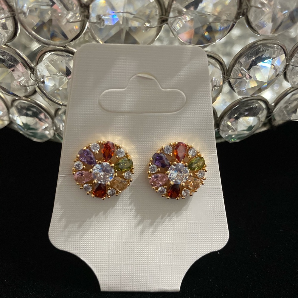 Colorful Earrings